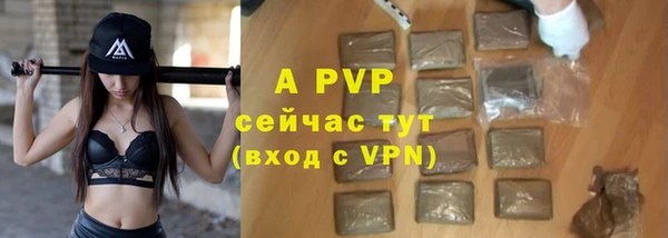 шишки Армянск