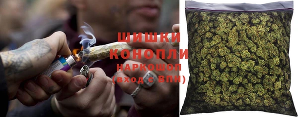 индика Анива