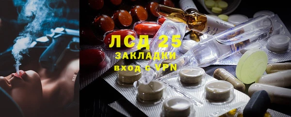 шишки Армянск