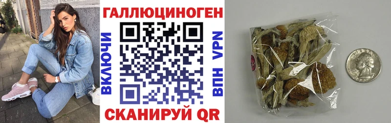 купить наркотик  Устюжна  Псилоцибиновые грибы GOLDEN TEACHER 