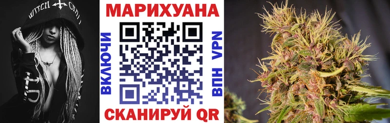 Шишки марихуана SATIVA & INDICA  МЕГА вход  Устюжна  как найти  